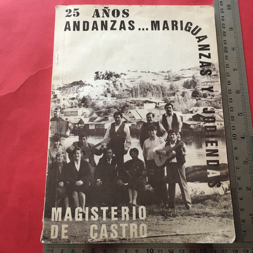 Libro Magisterio De Castro 25 Años De Andanzas Chiloé