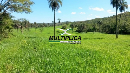 Imagem 5 de 9 de Fazenda Para Pecuária, 460 Hectares Em São Gonçalo Do Abaeté Mg - 386