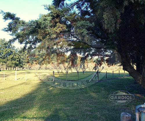 Venta De Chacra En Colonia