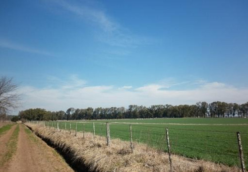Imagen 4 de 8 de Campo En Venta En Capitán Sarmiento