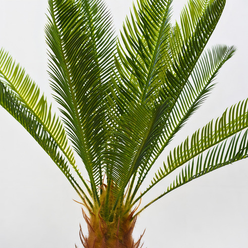 Planta Artificial Palmera Cycas Con Textura Realista 70cm Color Verde Oscuro