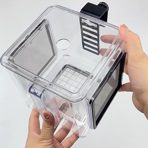 Para Caja De Aislamiento De Cría De Peces Incubadora De /