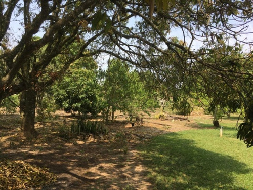 Chácara À Venda No Bairro Araçoiabinha, Em Araçoiaba Da Serra - Ch00314 - 69011016