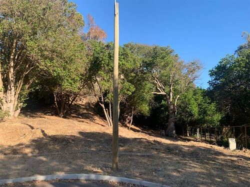 Imagen 3 de 15 de Sitio En Venta En Condominio En Papudo