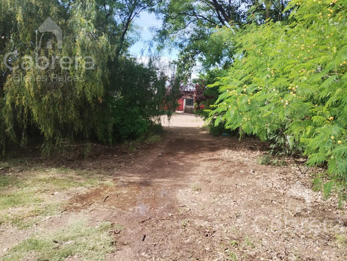 Venta De Campo En San Rafael, Mendoza
