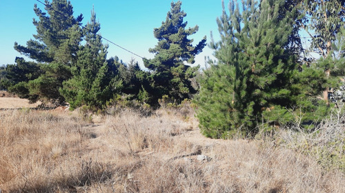 Venta De Parcela Las Luces De Algarrobo - Ruta F90