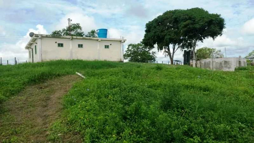 Imagen 10 de 16 de Venta Finca En Yaracal Estado Falcón