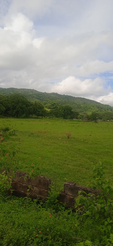 Imagen 5 de 30 de Finca En Guigue, 35 Hectareas. 5610462