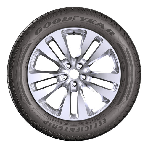 205/50 R17 Goodyear Efficientgrip Performance 89 V