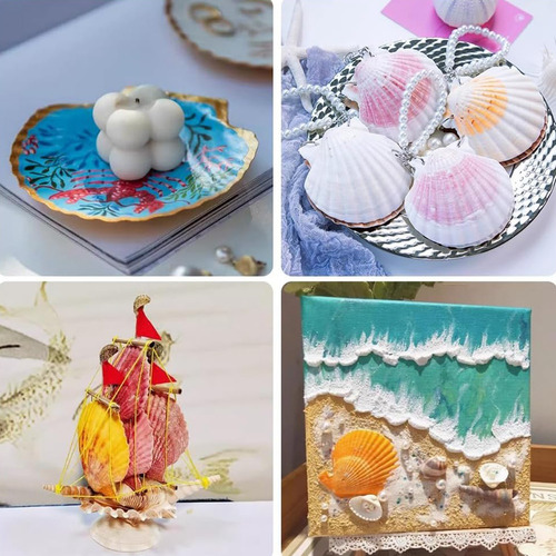 18 Conchas De Vieira Naturales, Conchas Marinas Blancas A Gr