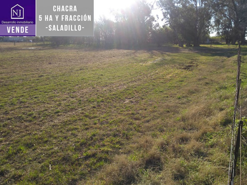 Imagen 7 de 7 de Vendo Chacra En Saladillo, Muy Buena Ubicacion