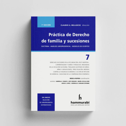 Practica De Dcho De Familia Y Sucesiones. Vol 7 - Belluscio