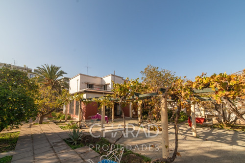 Especial Proyecto Inmobiliario