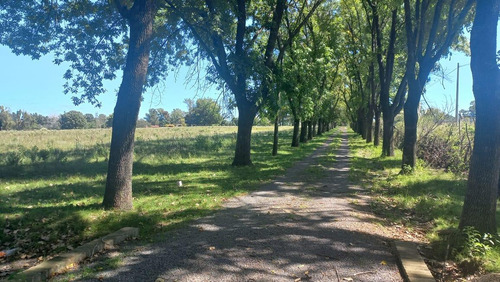 Campo En Fatima
