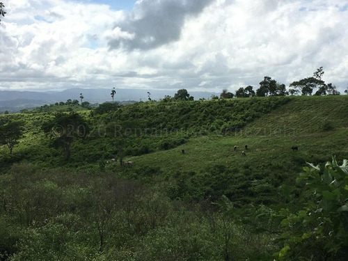 Imagen 30 de 30 de &&& Finca En Venta Aroa Yaracuy Rah 23-4755 // Invierta Seguro Con Rentahouse//