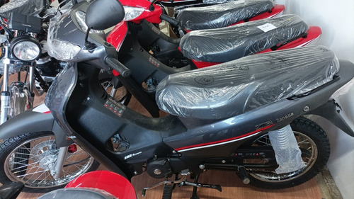 Imagen 2 de 5 de Zanella Zb110cc