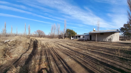 Imagen 4 de 9 de Predio En Alquiler Cipolletti