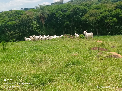 Sitio A Venda Em Monte Santo De Minas