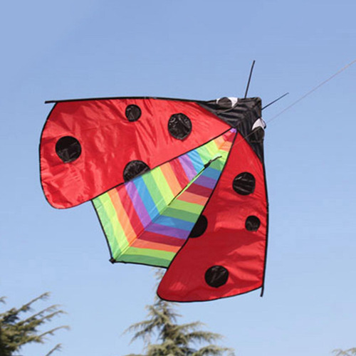 Triangle Ladybug Kite Fly Kite Easy Control Delta Kite Para