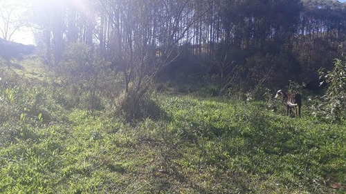 Imagem 17 de 17 de Linda Sitio Em Caçapava Com Ótimo Acesso A Via Dutra - Ar0010