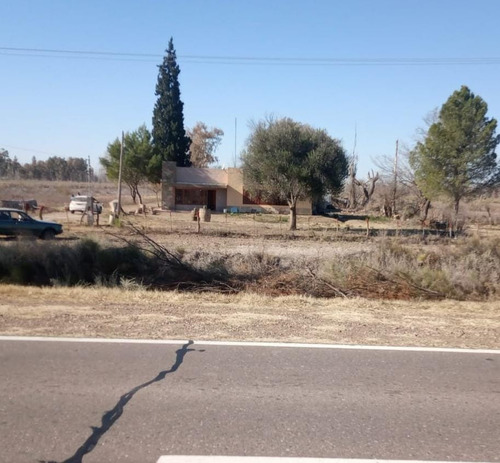 Finca 37 Ha. Sobre Ruta Nac. 143 , A 15 Km Al Sur De General Alvear, Mendoza.