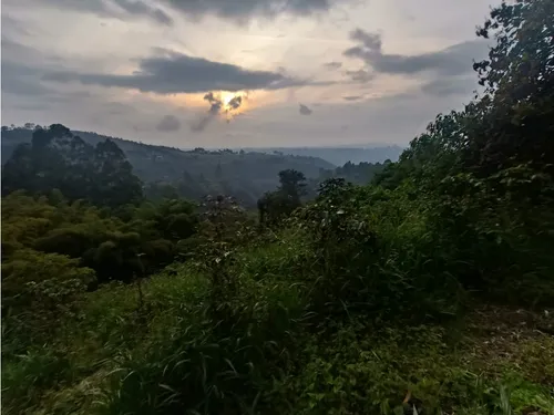 Se Vende Finca En Salento - Quindío