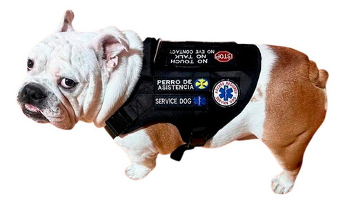 Chaleco Service Dog  Bulldog 