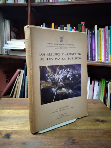 Los Arboles Y Arbustillos De Los Paseos Publicos - Lombardo