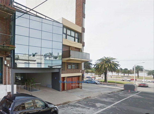 Imagen 2 de 22 de Edificio De Oficinas Exclusivo - P. Rodó - Venta Con Renta