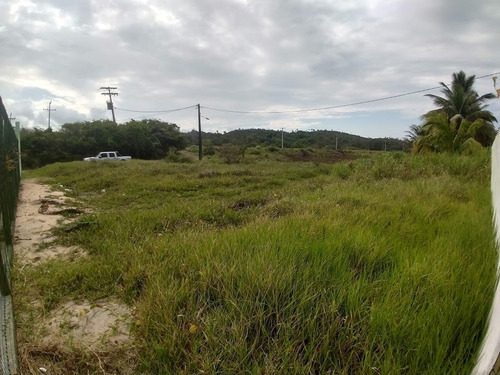 Imagem 6 de 8 de Terreno - Em Rua, Para Venda Em Ilhéus/ba - Te05