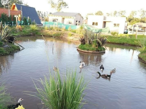 Imagen 19 de 21 de Terreno Lote En Venta Ubicado En General Rodríguez, G.b.a. Zona Oeste