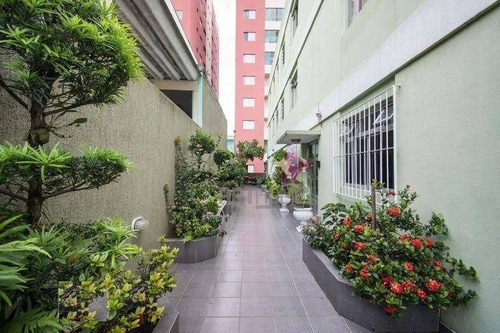 Imagem 19 de 24 de Apartamento, 60 M² - Venda Por R$ 295.000,00 Ou Aluguel Por R$ 1.300,00/mês - Vila Mussolini - São Bernardo Do Campo/sp - Ap1392