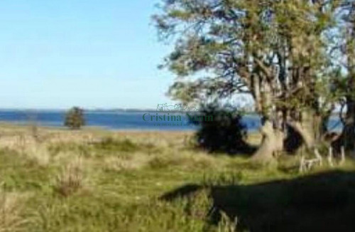 Espectacular Campo De 110 Ha.- Ref: 37062