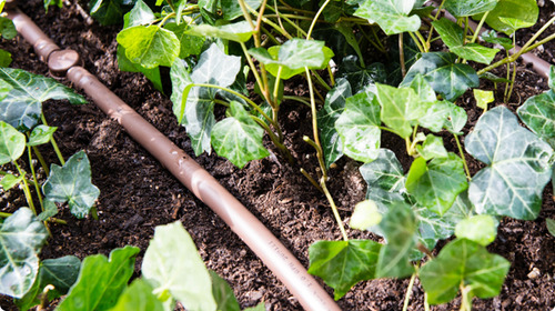 Tubo Gotejador Irrigação Hortas Viveiros 30cm 16mm - 100m