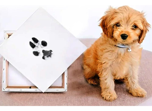 Kit De Manos Y Huellas Para Bebés - Baby Safe Ink Pads Paw 2