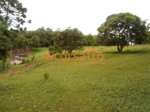 Imagem 11 de 12 de Área À Venda, Potuverá, Itapecerica Da Serra/sp - 4179