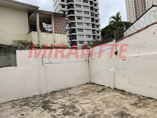 Imagem 5 de 7 de Terreno Em Santa Terezinha - São Paulo, Sp - 337542