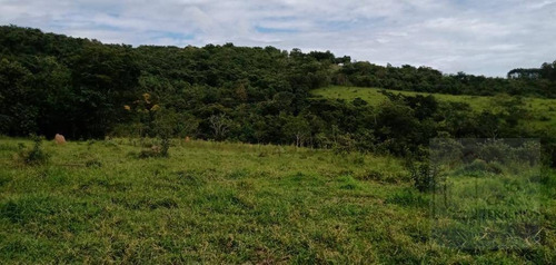 Fazenda À Venda, 65 Alqueires Por R$ 3.000.000 - Sítio Rural - São Sebastião Do Paraíso/mg - Fa0012