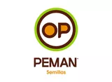 Peman