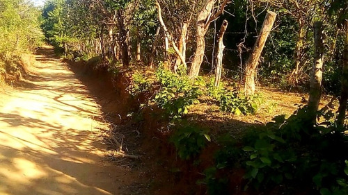 Imagen 6 de 12 de 30 Mzs Diriamba - Carazo