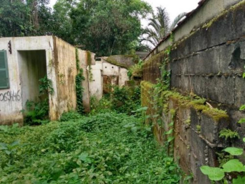Imagem 7 de 9 de Terreno De Chácara No Bairro Jardim Aguapeú, Em Itanhaém, Com 2.500 M² De Área Total