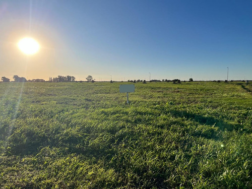 Terreno En Venta En Nuevo Aires