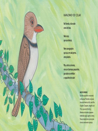 Brasileirinhos Da Amazônia - Vol. 3: Poesia Para Os Bichos Da Nossa Maior Floresta, De Laurabeatriz. Editora Companhia Das Letrinhas, Capa Mole Em Português