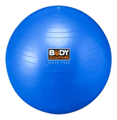 Bola De Yoga Pilates Gimnasia Body Sculpture 65 Cm