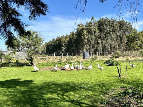 Chacra En  San Carlos Cerca De La Ruta 9