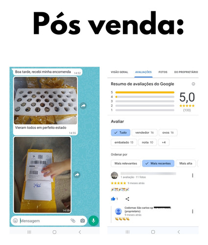 Frete Grátis Kit 30 Ovos Férteis, Galado Codorna Japonesa.