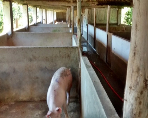 Imagem 21 de 30 de Sitio À Venda Em Juquitiba, - 21 - 32982657