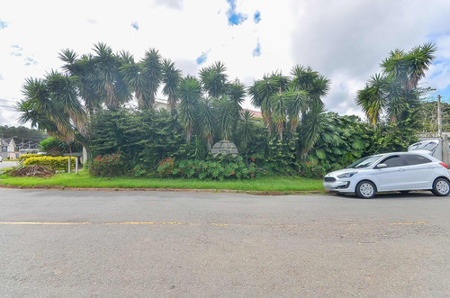Imagem 5 de 16 de Terreno - Residencial - 930453