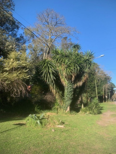 Importante Y Unica Ubicacion Sobre Calle Don Arturo-financiacion -bosque Peralta Bramos