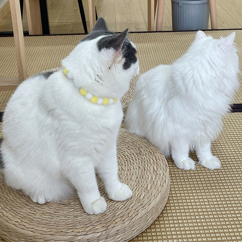 5 Collares De Peluche Para Mascotas Con Pompones De Colores